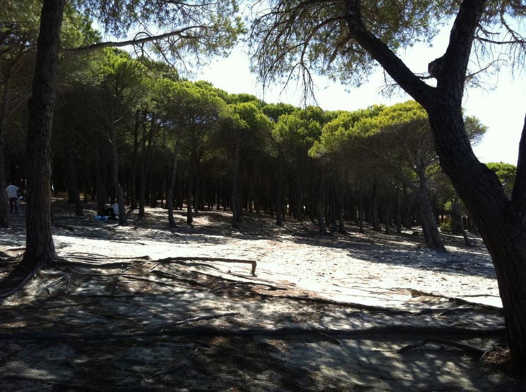 Case Vacanze Budoni Beach Bilik gambar